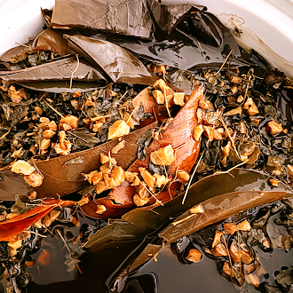 Step-by-Step Gut Detox